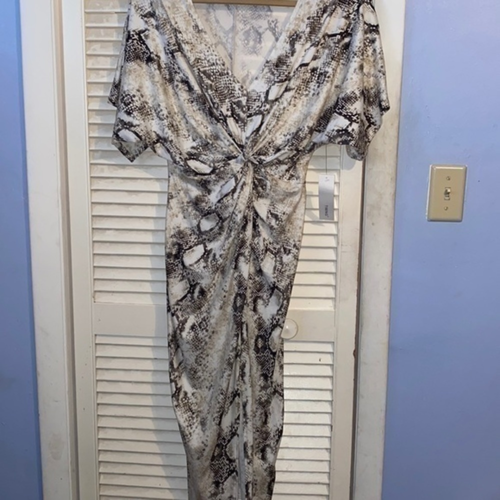 Timing snake skin dress